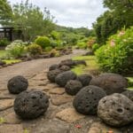 Les inconvénients potentiels de la pouzzolane pour votre jardin