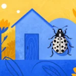 Cafards noirs de jardin : comment les identifier, prévenir et éliminer